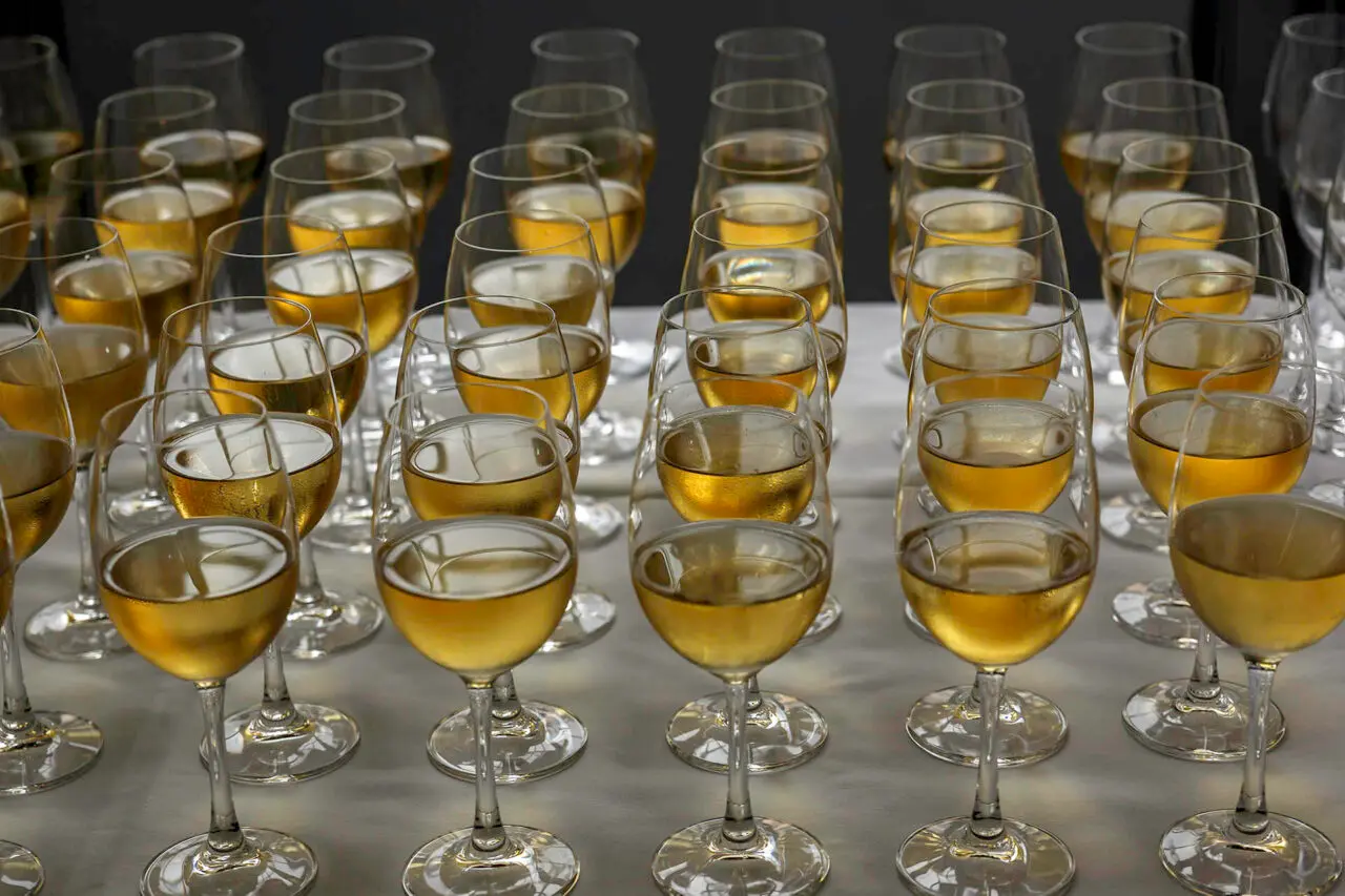 Riesling verticale proeverij