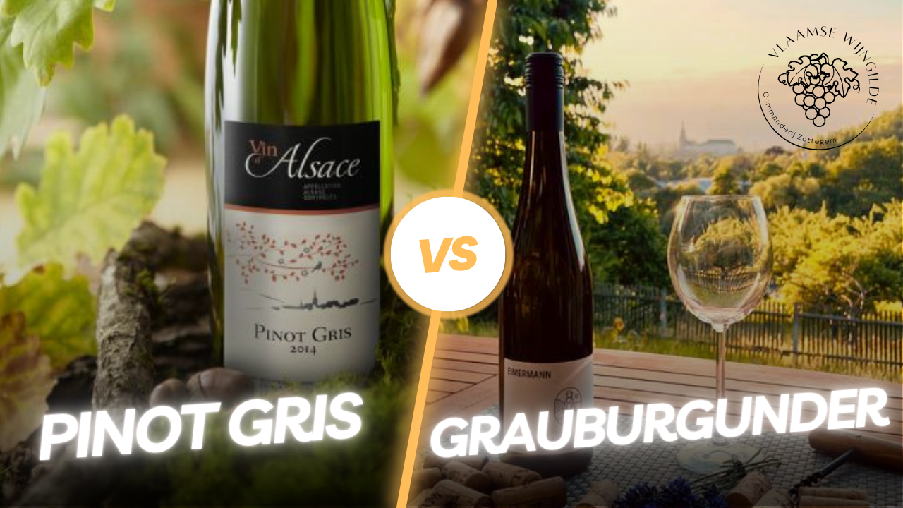 Pinot Gris vs Grauburgunder