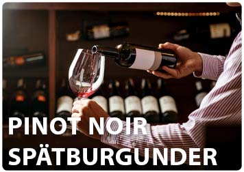 Pinot Noir vs Spätburgunder